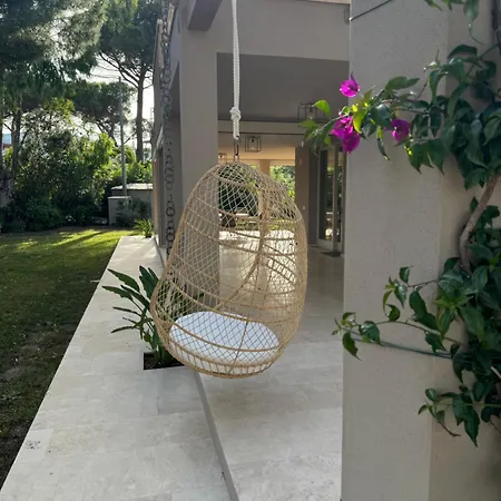 Cocoon *