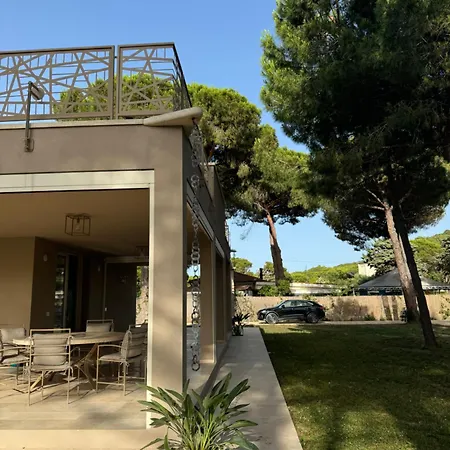 Cocoon Lacona